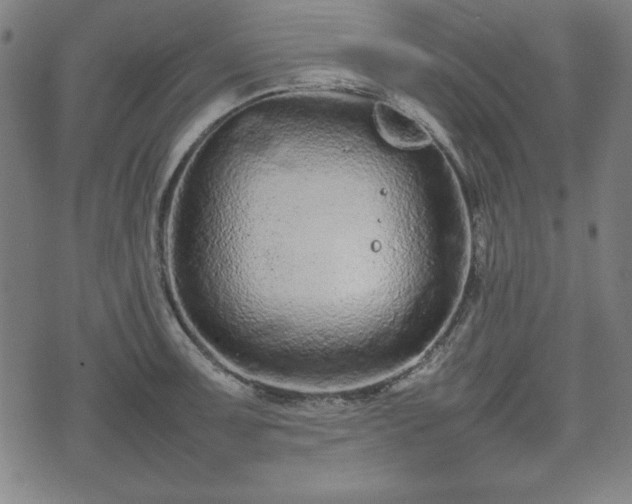 X0000074931091200609081320