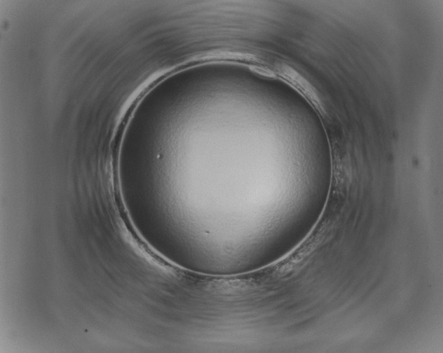 X0000074931092200609081320