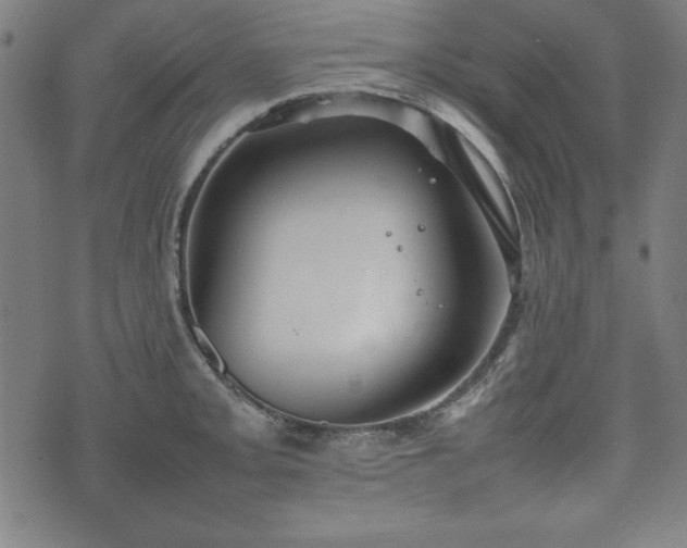 X0000074931093200609081320