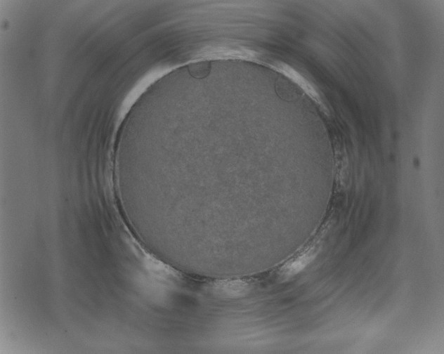 X0000074931094200609081320