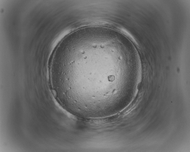 X0000074931095200609081320