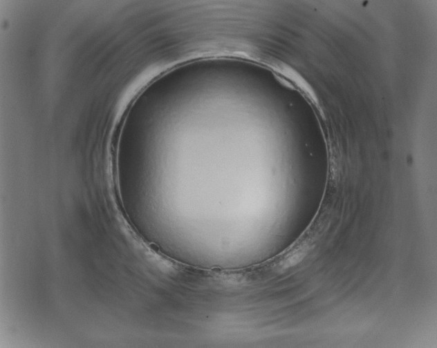 X0000074931096200609081319