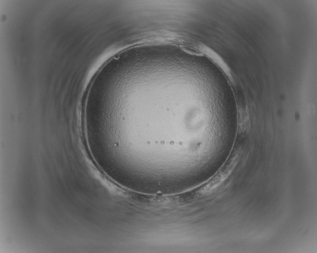 X0000074931099200609081319