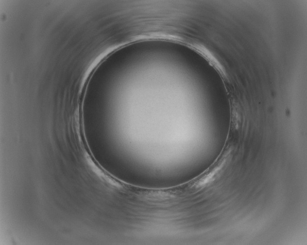 X0000074931100200609081319