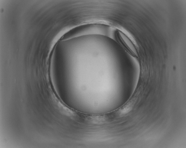 X0000074931102200609081319