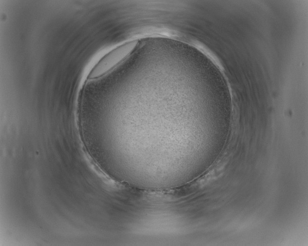 X0000074931104200609081319