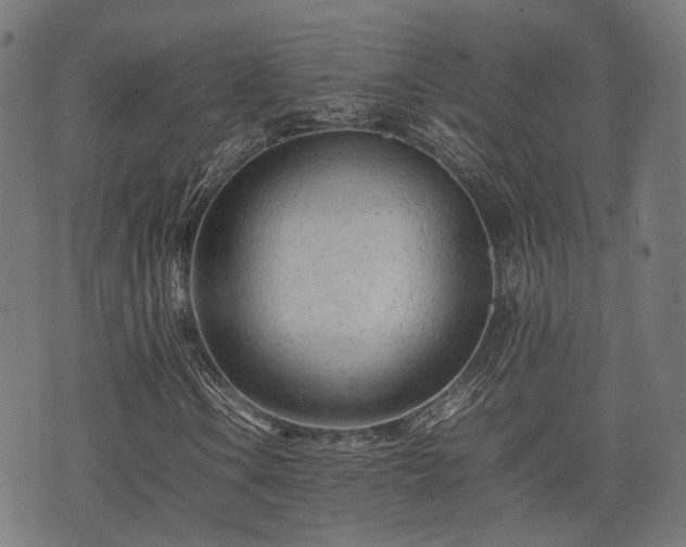 X0000074931106200609081319