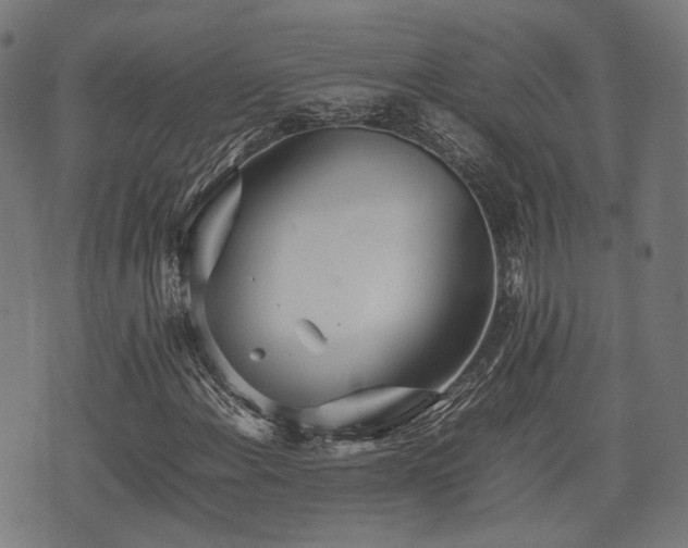 X0000074931108200609081319