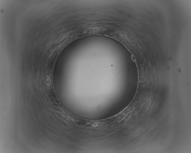 X0000074931109200609081319