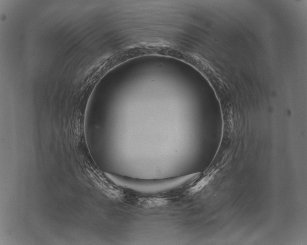 X0000074931110200609081319