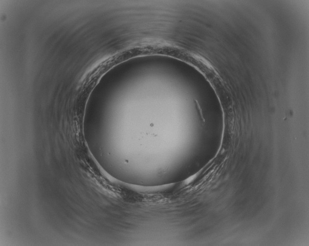 X0000074931112200609081319