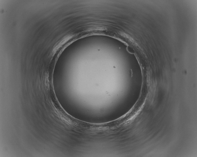 X0000074931113200609081319