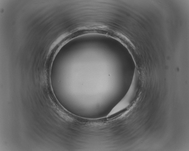 X0000074931114200609081319