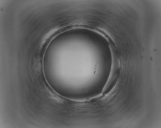 X0000074931115200609081319