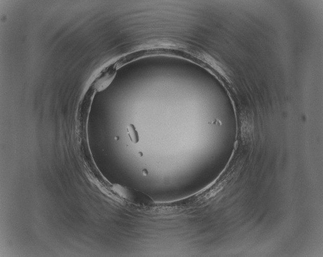 X0000074931116200609081319