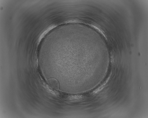 X0000074931117200609081319