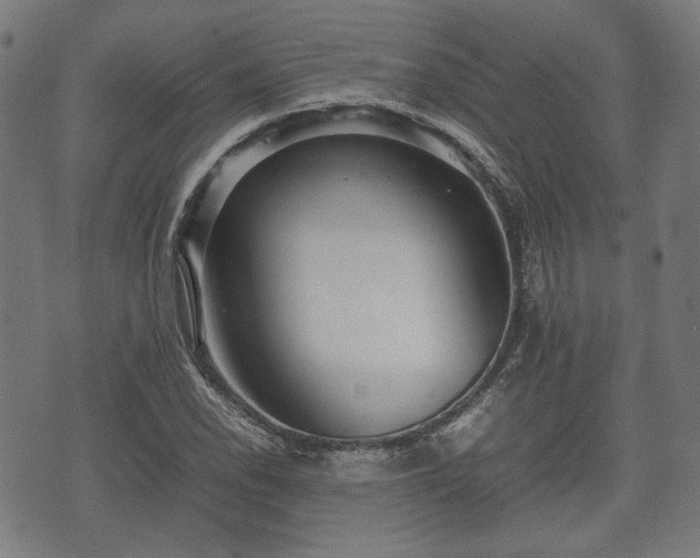 X0000074931118200609081319