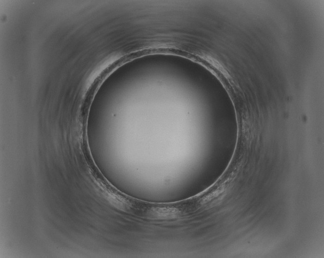 X0000074931119200609081319