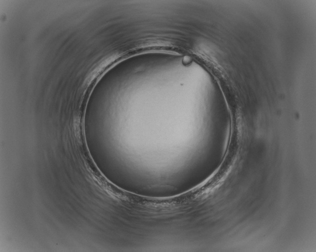 X0000074931121200609081319