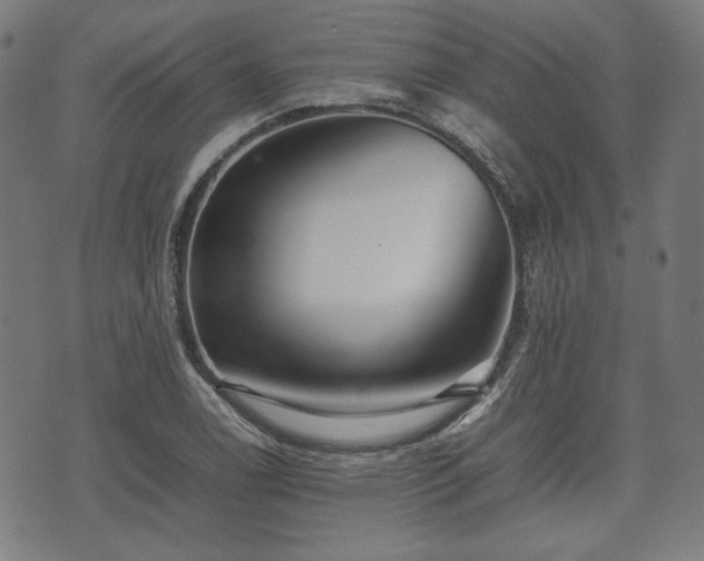 X0000074931122200609081319