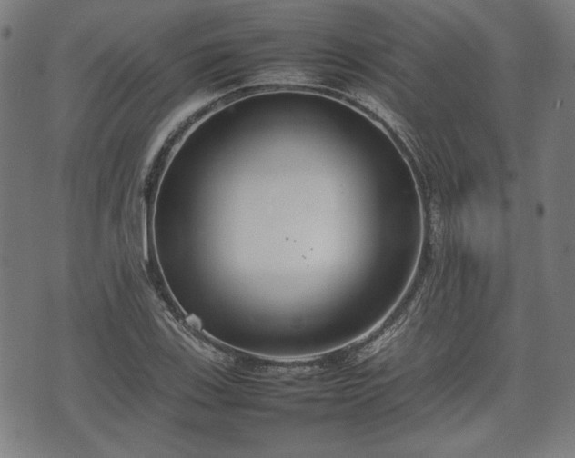 X0000074931123200609081319