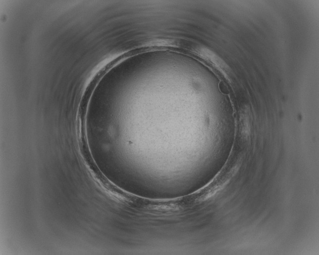 X0000074931125200609081319