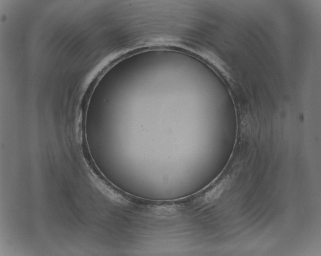 X0000074931126200609081319