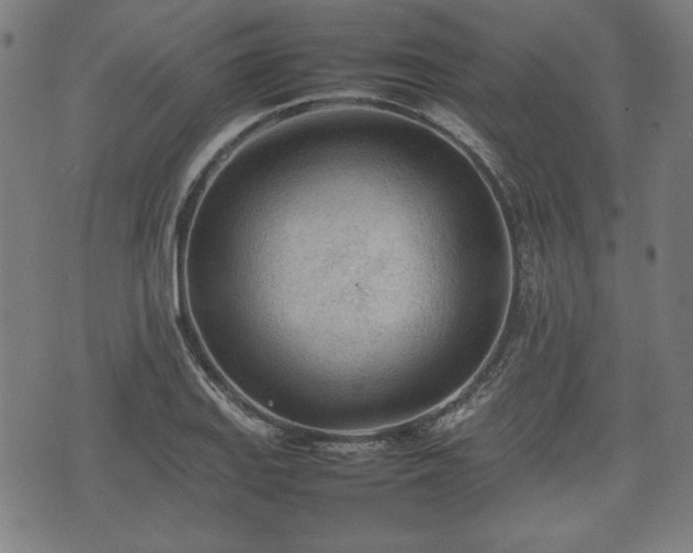 X0000074931127200609081319