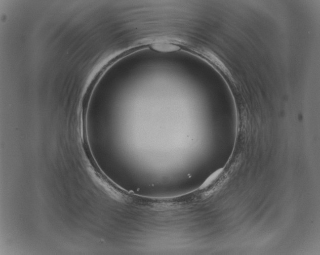 X0000074931132200609081319