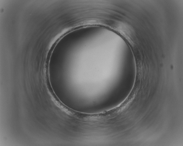 X0000074931134200609081319