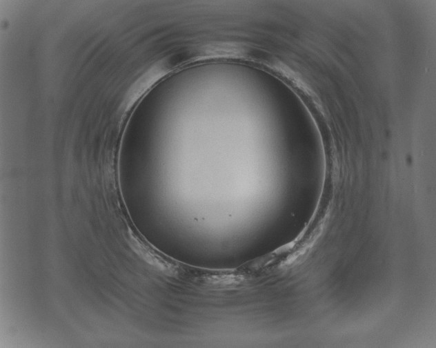 X0000074931137200609081319