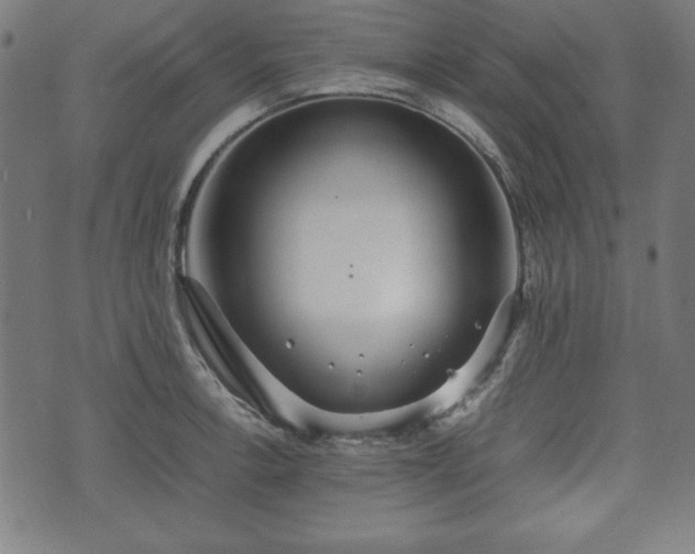 X0000074931138200609081319