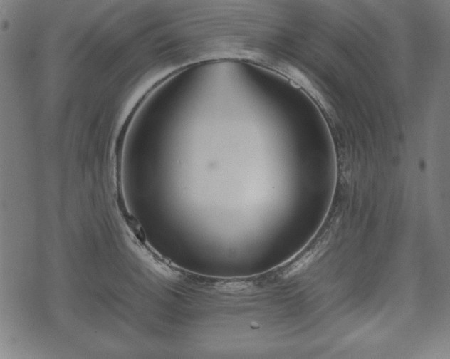 X0000074931140200609081319