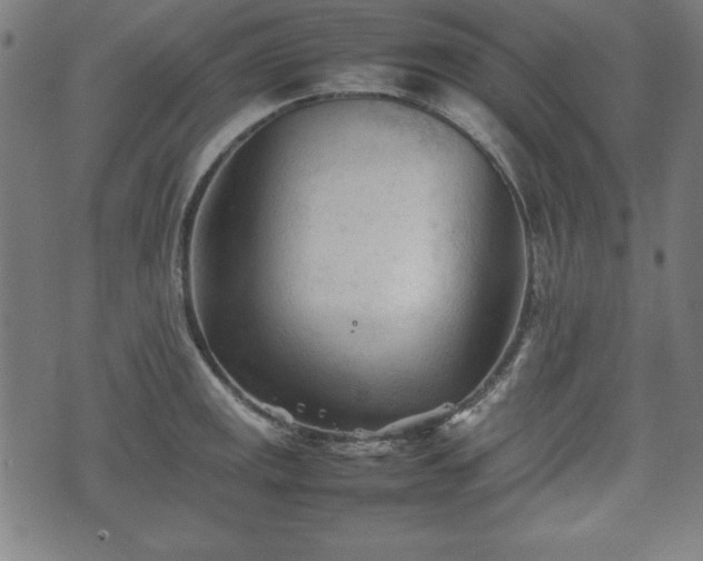 X0000074931141200609081319