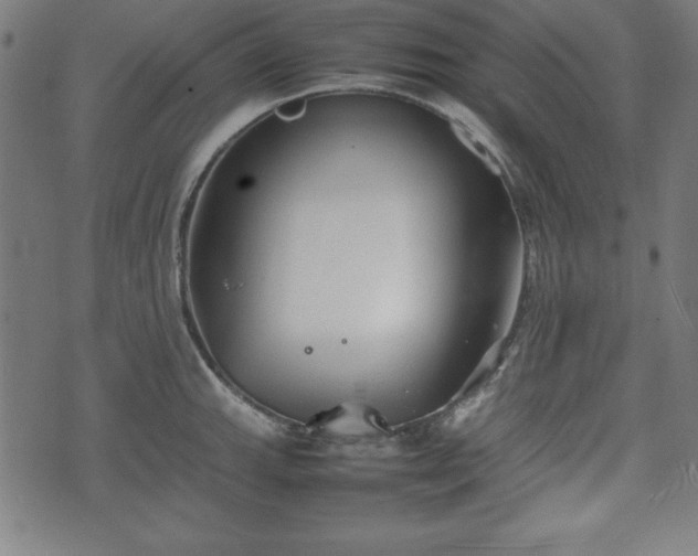 X0000074931143200609081319