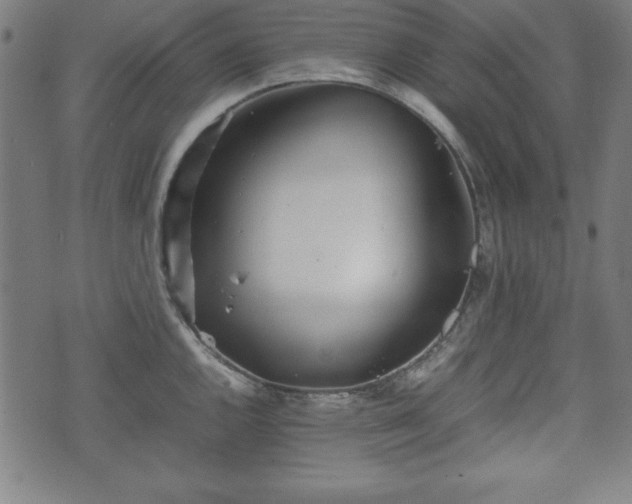 X0000074931144200609081319