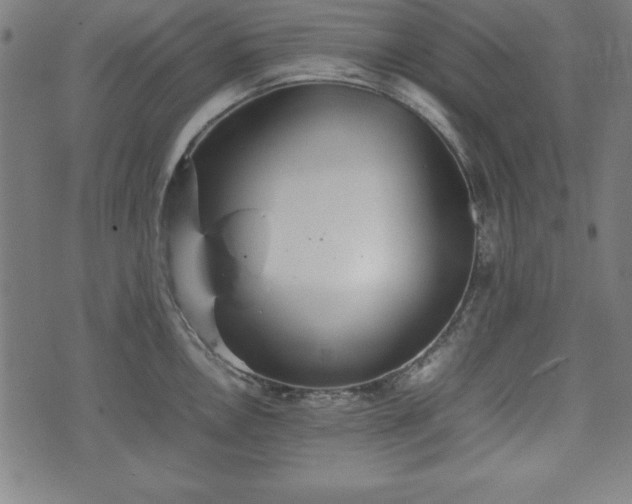 X0000074931146200609081319