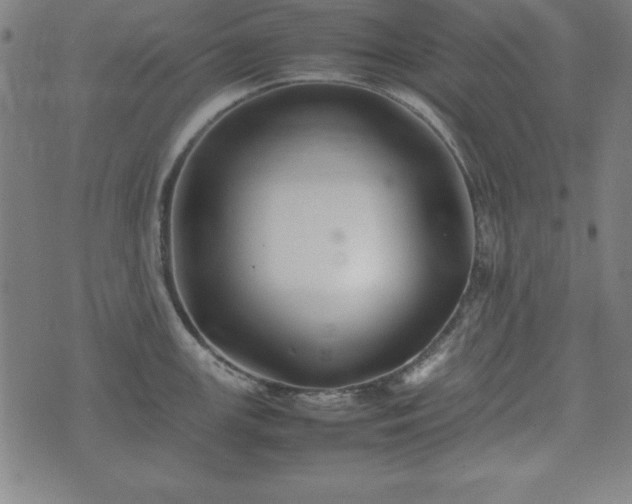 X0000074931147200609081319