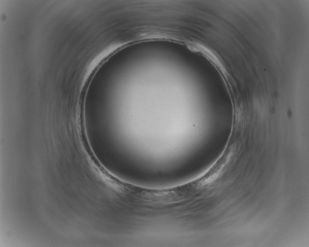 X0000074931149200609081319