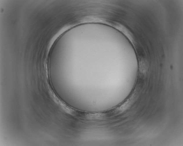 X0000074931150200609081319