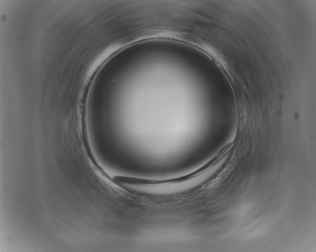 X0000074931151200609081319