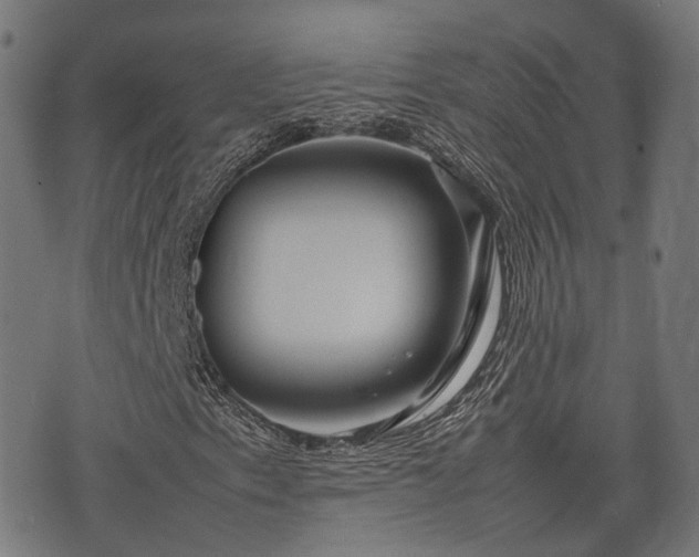 X0000074931153200609081319