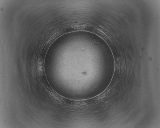 X0000074931154200609081319