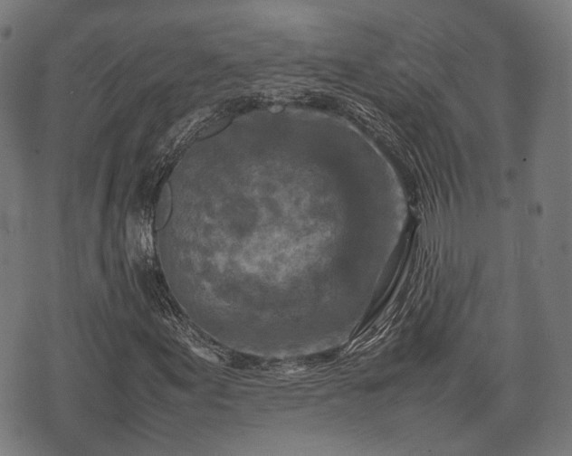 X0000074931155200609081319