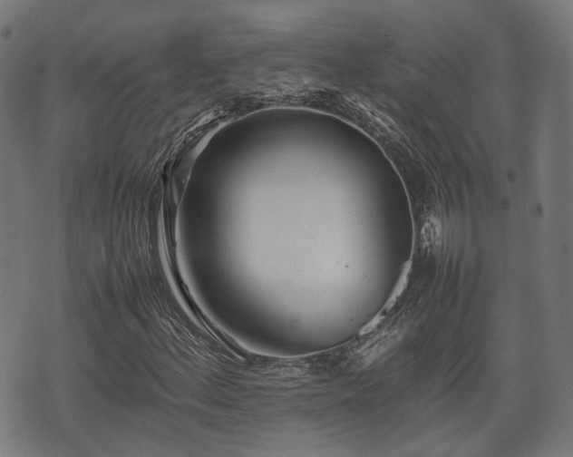 X0000074931156200609081319