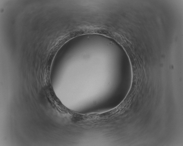 X0000074931157200609081319