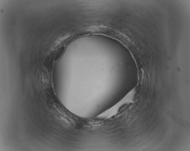 X0000074931158200609081318