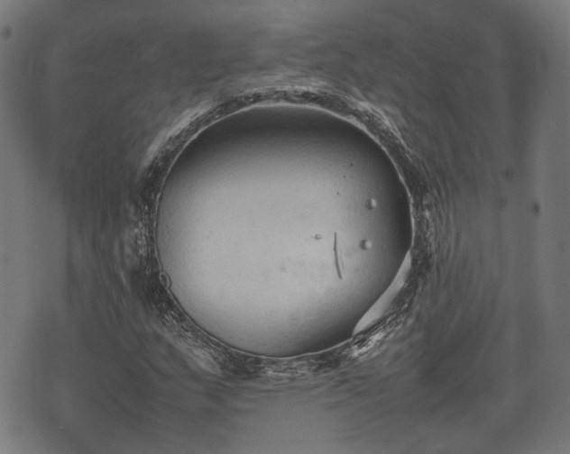 X0000074931159200609081318