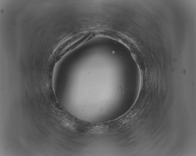 X0000074931160200609081318