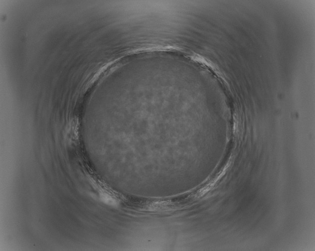 X0000074931161200609081318